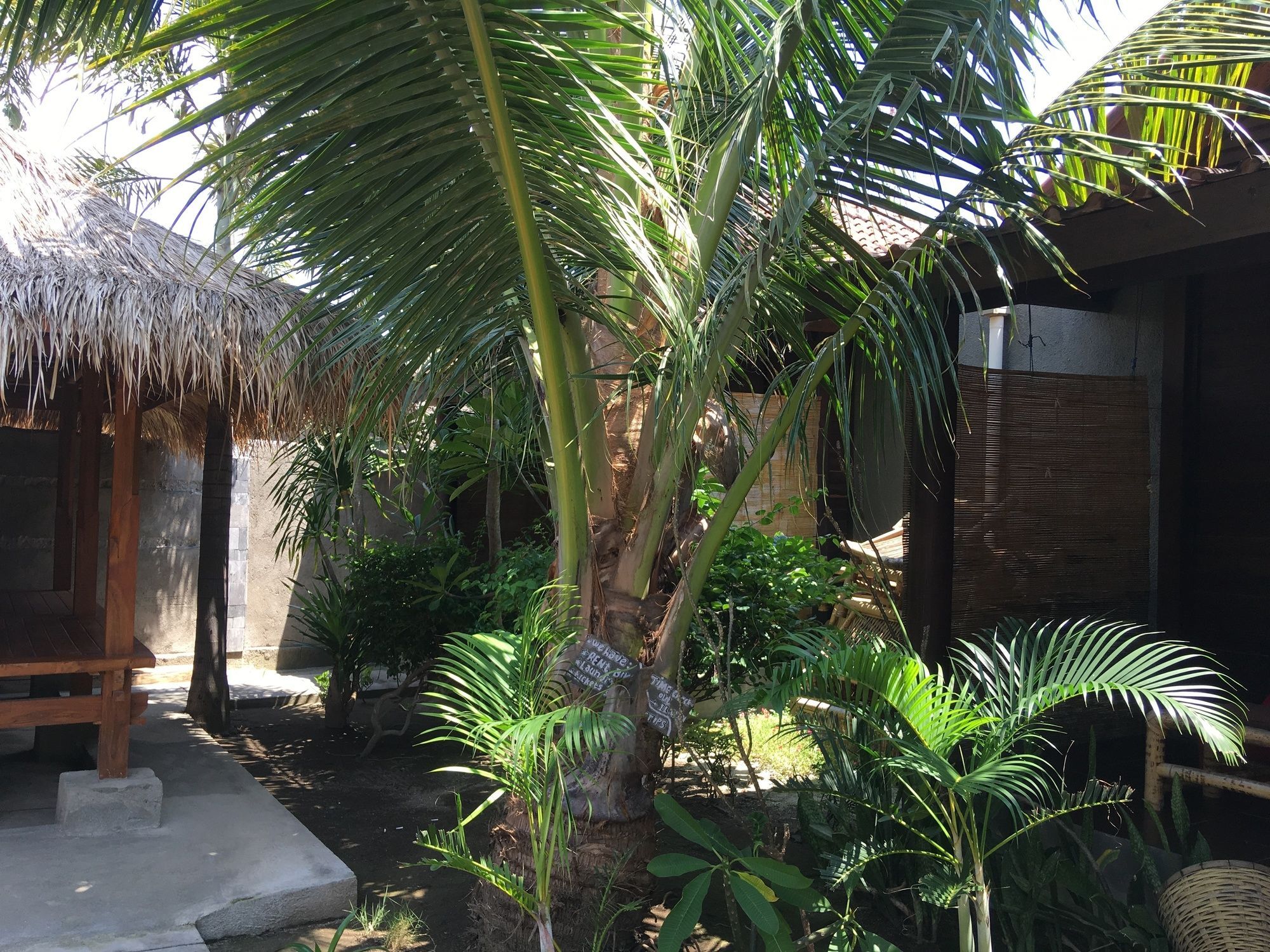 Alexyane Paradise Bungalow Gili Trawangan Extérieur photo